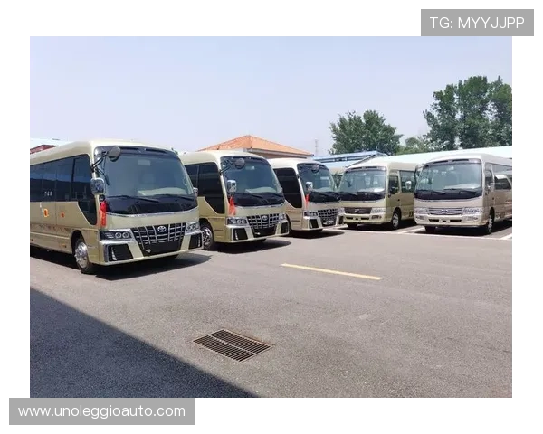 K8正规网的最新优惠活动与促销策略全景介绍